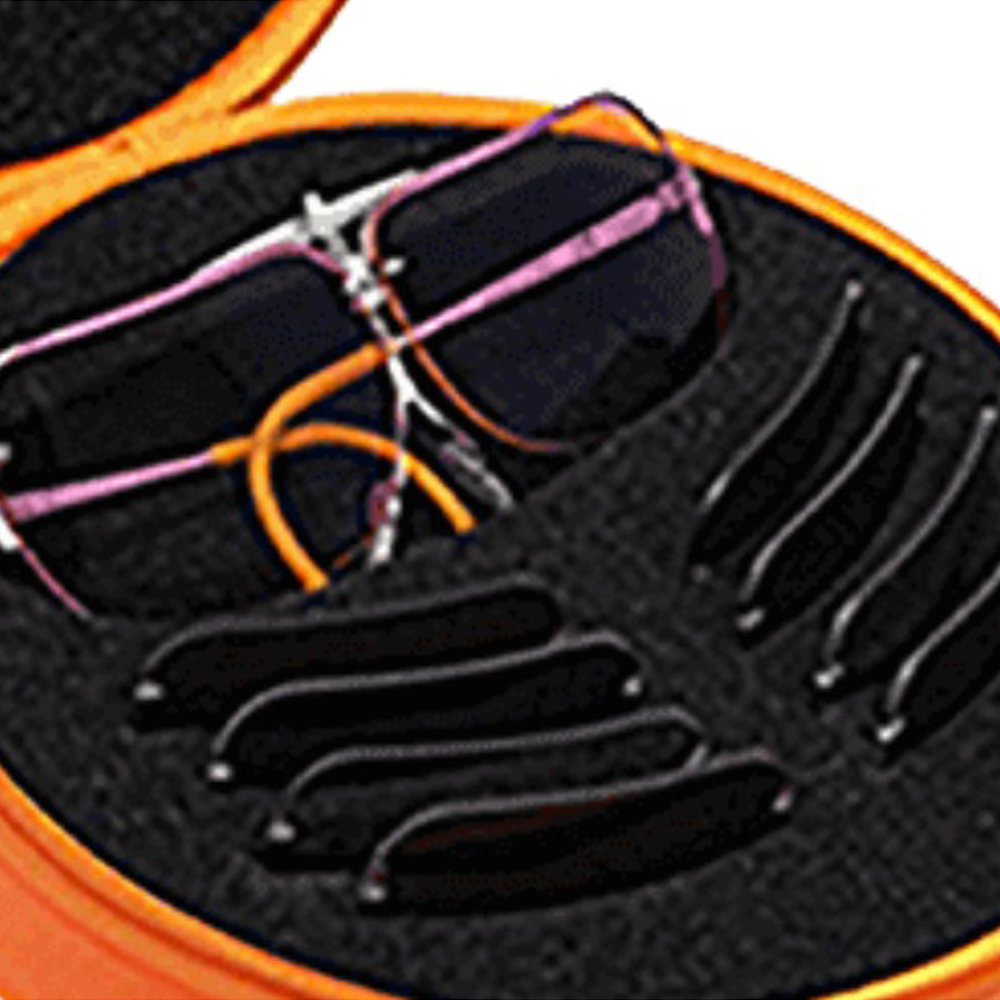 LAGO TERRA Large Snap Shut Protective Hard Glasses Sunglasses Case Travel Box